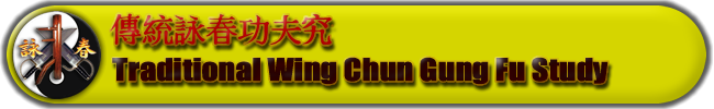 Traditional Wing Chun Gung Fu Study